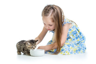 Jeune fille qui donne des croquettes à un chaton