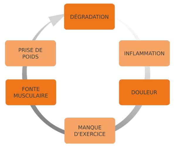 cercle vicieux arthrose