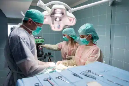 Chirurgie Veterinaire à Antibes Juan-les-Pins 