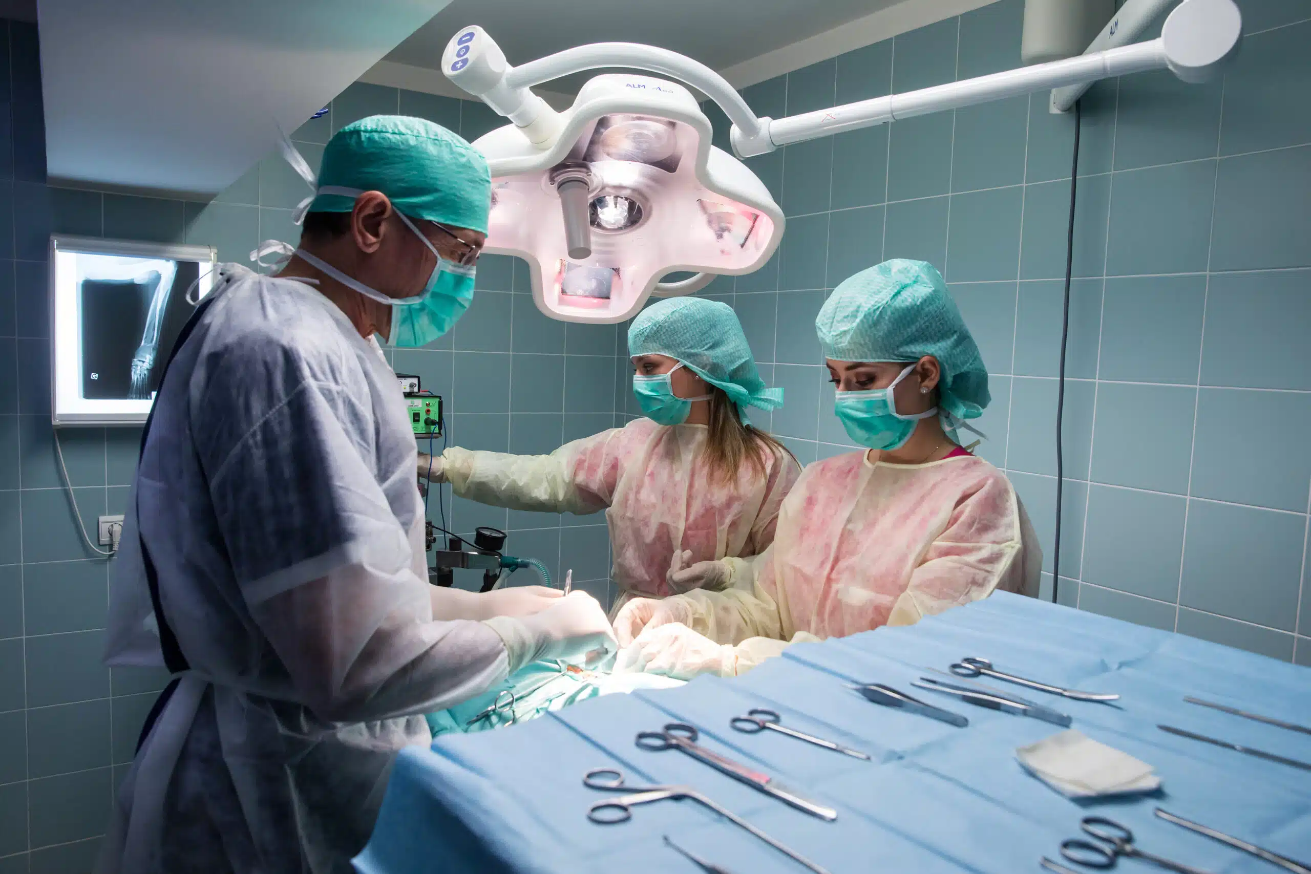 Chirurgie à la clinique vétérinaire Antibes les Pins