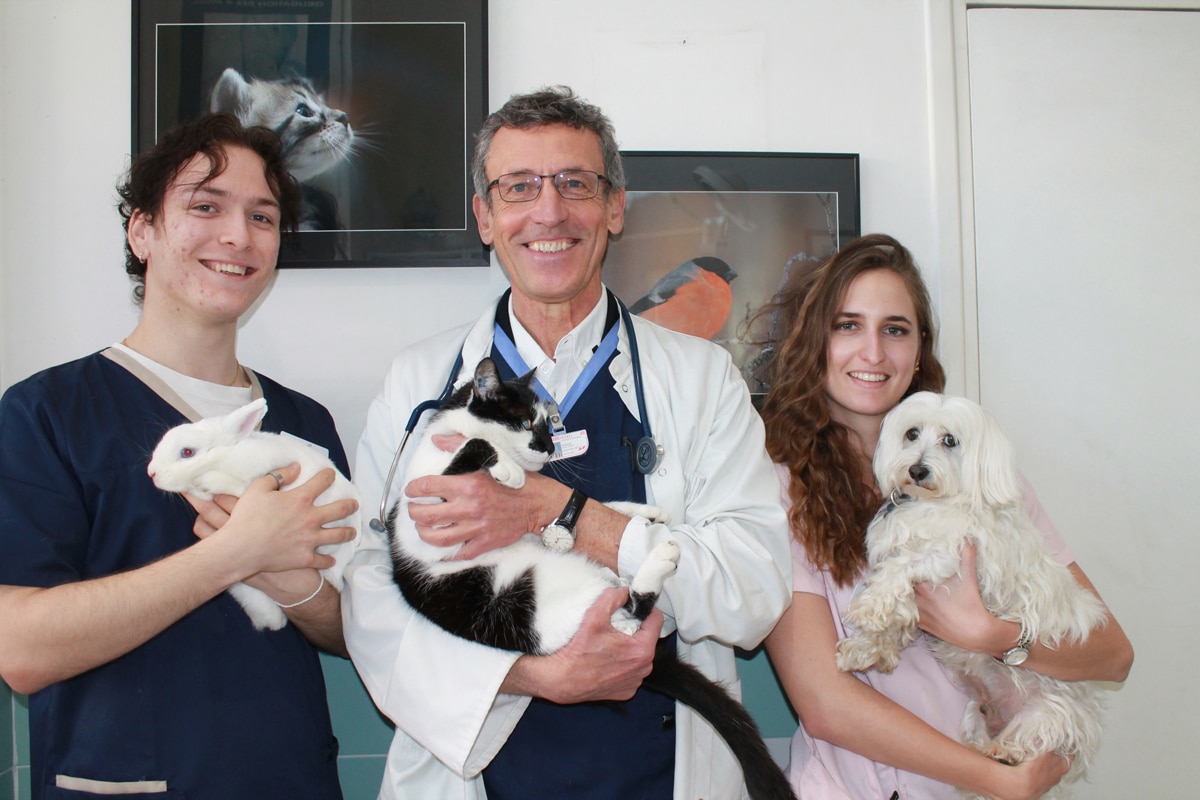 Equipe veterinaire antibes les pins