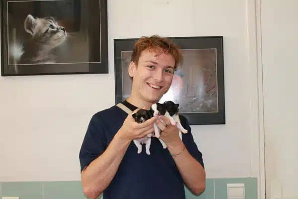 veterinaire-antibes-yannis Yannis, assistant vétérinaire antibes les pins