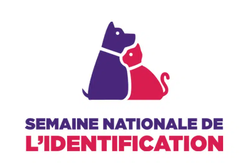 Logo SNI