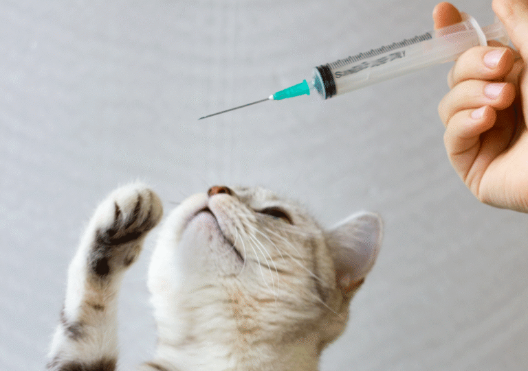 Vaccin