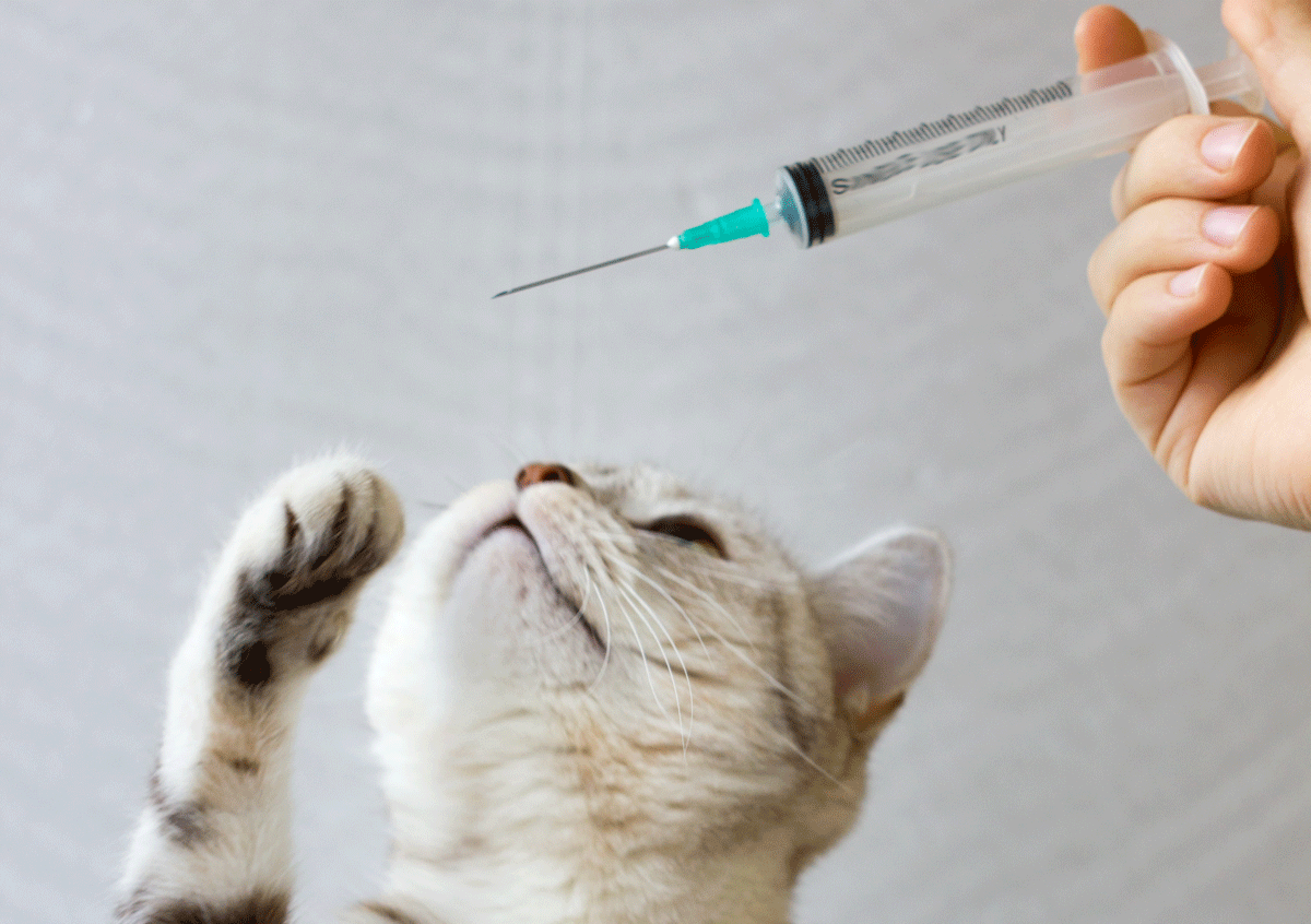 Vaccin