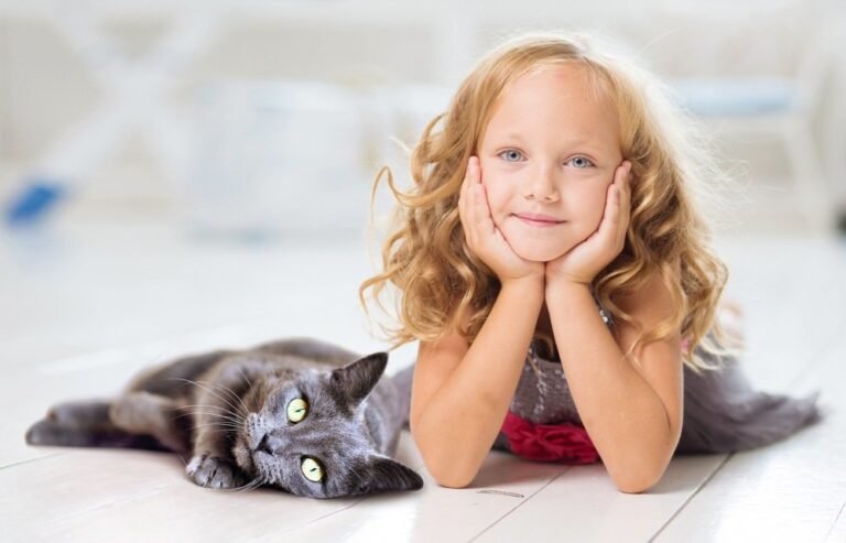 Enfant allongée avec son chat gris - Relation enfant-animal